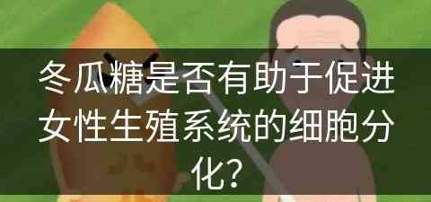 冬瓜糖是否有助于促进女性生殖系统的细胞分化？